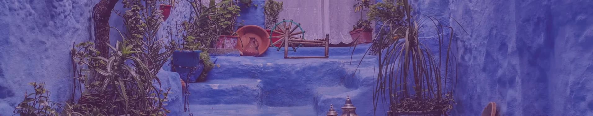 Homoseksuele groepsreis: Italië villa culinaire ervaring